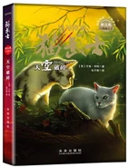 Alternate Simplified Chinese Language Edition Released in China