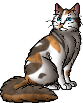 Jayfeather, Warrior Cats Wiki