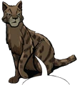 Dustpelt in A Thief in ThunderClan