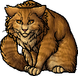 Lionblaze, Warriors Wiki, FANDOM powered by Wikia