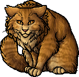 Lionblaze, Warriors Wiki