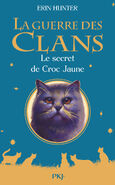 French Language Edition Released in France