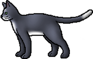 According to the Warriors Wiki: Bloodclan cats 