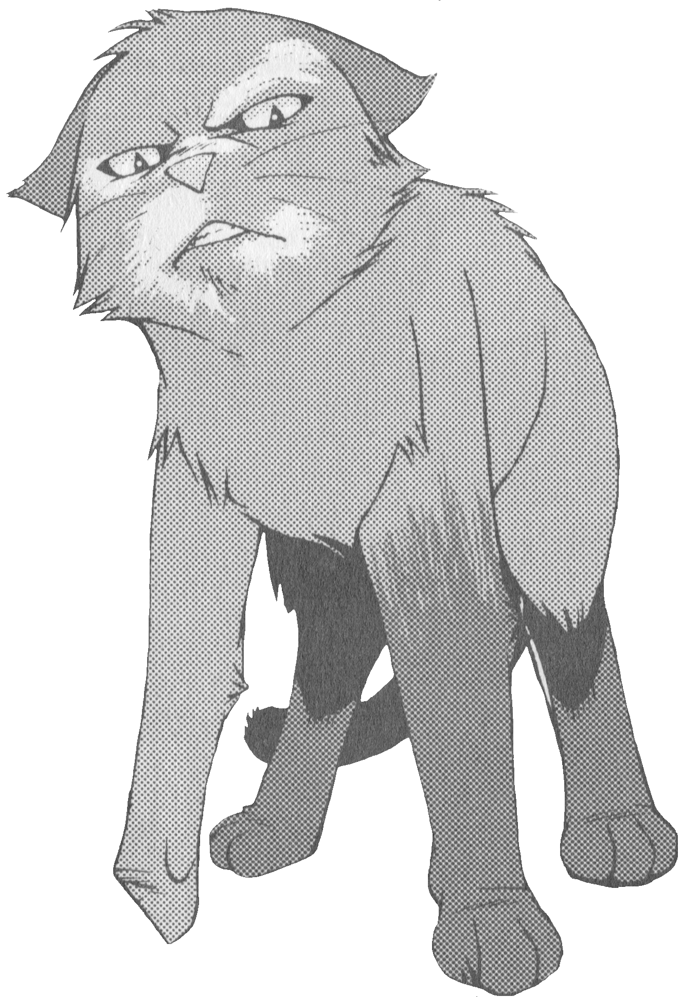 warriors cat stuff — t4wnyclaw: warrior cat wiki says ashfoot is the