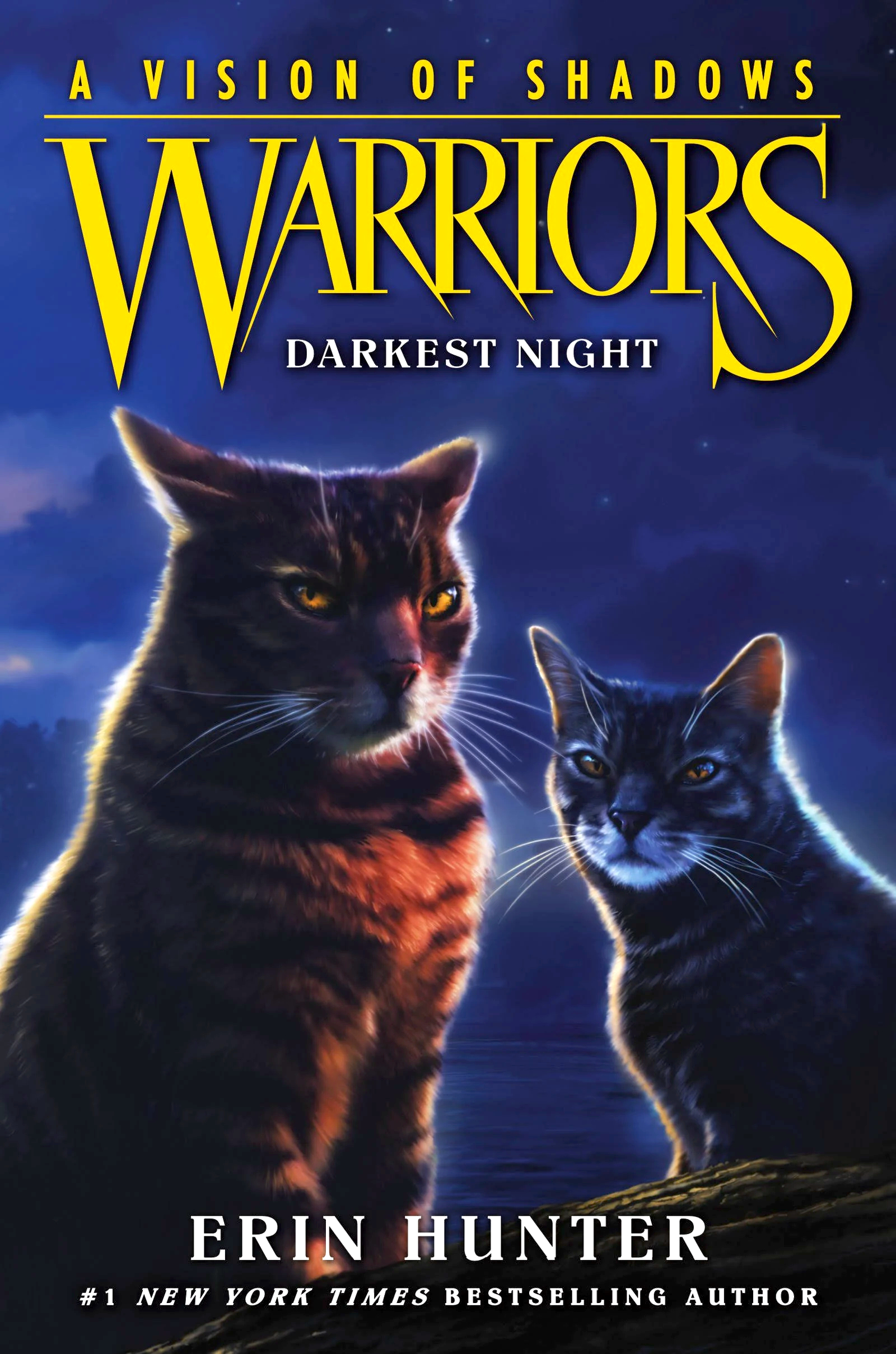 Darkest Night, Warriors Wiki