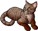 StarClan Version