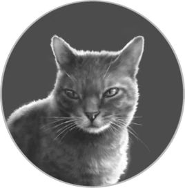 Hawkwing&#39;s Journey/Chapter 9