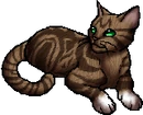 Sweetbriar.star.png (25 KB) StarClan Version