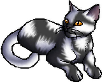 Gray and white warrior cats hotsell