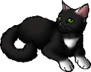 StarClan Version