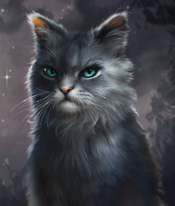 21421 - safe, artist:biohazardia, bluestar (warrior cats), firestar (warrior  cats), lionheart (warrior cats), cat, feline, mammal, feral, warrior cats,  beanbrows, blue eyes, blue fur, cheek fluff, chest fluff, collar, ear  fluff, female