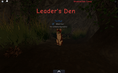 ShadowClan leader den.screenshot