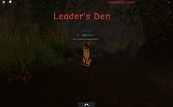 The leader's den