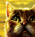 Leafpool on the reprinted cover of Twilight