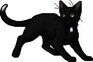 ravenpaw 💦🌾 [warrior cats] - playlist by arcadeghozt.mp3