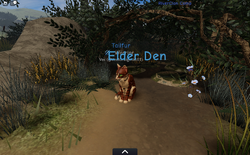 The elders' den