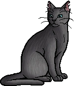 warrior cat designs — Boulder Elder of ShadowClan “That's right