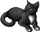 StarClan Version