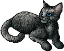 StarClan Version