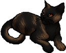 StarClan Version