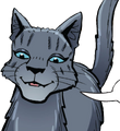 Cinderpelt in A Thief in ThunderClan