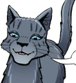 Cinderpelt in A Thief in ThunderClan