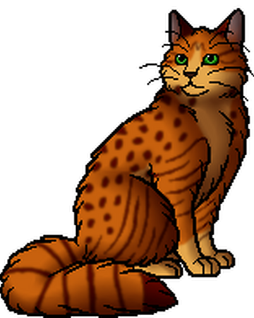 Eaglewing Warriors Wiki Fandom