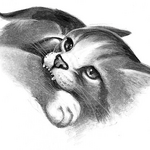 Open Rp Positionswarriorcats Rp Open Rp Positionswarriorcats Rp