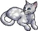 StarClan Version