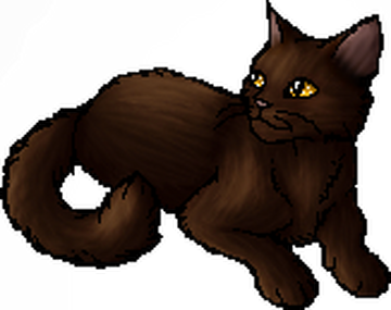 Fox (DotC) | Warriors Wiki | Fandom