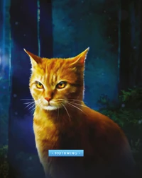 Mothwing struggled between her loyalty to RiverClan and saving her Clan by rebelling against Splashtail