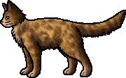 21329 - safe, artist:chatterfox, firestar (warrior cats), spottedleaf (warrior  cats), cat, feline, mammal, feral, warrior cats, bush, cloud, female,  flower, grass, holding, lavender, male, male/female, mouth hold, shipping,  sky, spottedfire (warrior cats)