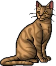 Owlwhisker.warrior.png (21 KB) Warrior Version