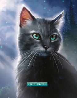 First look at brand new Warrior Cats artwork from The Ultimate Guide:  Updated and Expanded Edition