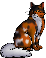 images Mapleshade Warriors Death mapleshade warriors wiki fandom