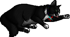 SE-11.kittypet-2.png