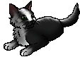 Badgerfang.star.png (7 KB) StarClan Version