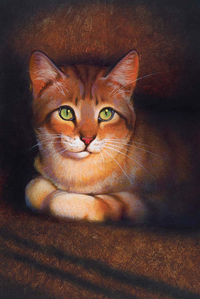 Crookedstar dedicated his life to serve his Clan above all else, originally as part of a promise to Mapleshade. Once he rejected her, Crookedstar continued being loyal, but for the right reasons.