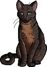 SkyClan, Warriors Wiki