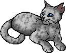 Ashfur (TC).star.png (20 KB) StarClan Version