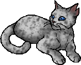 Ashfur (TC)/PR, Warriors Wiki