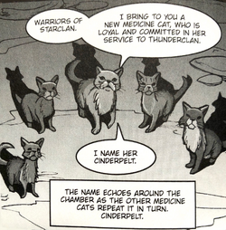 Medicine cat ceremony.SE-5