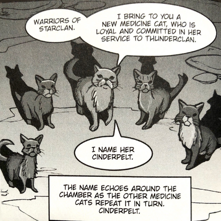 Medicine Cat Ceremony Warriors Wiki Fandom