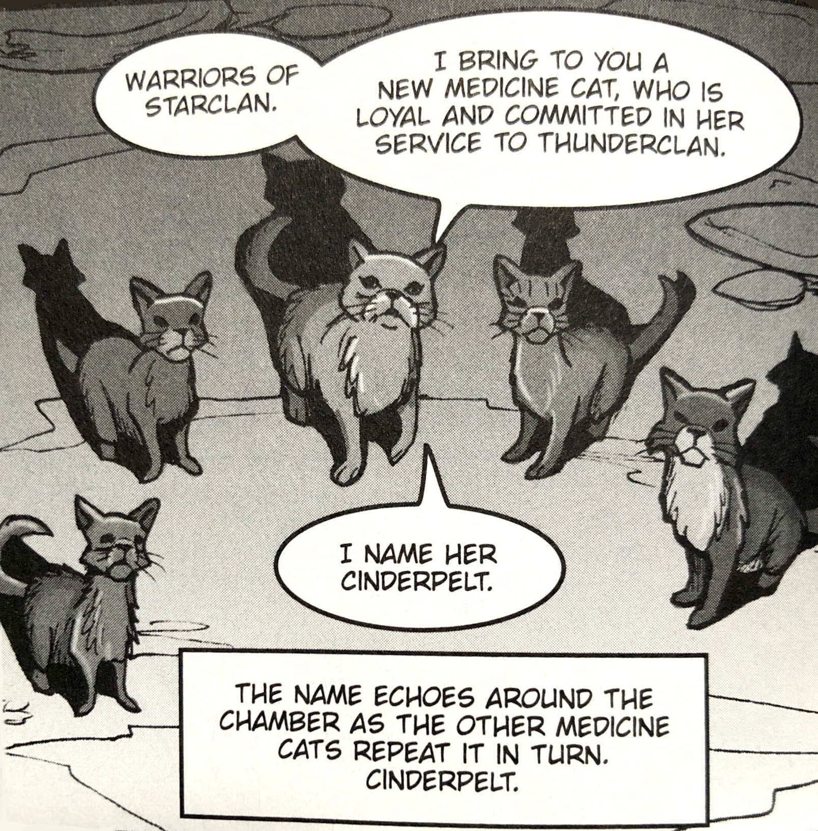 Which Warrior Cat Leader Are You?  Warrior cat, Warrior, Warrior cats