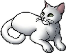StarClan Version
