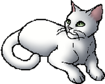 White warrior cats sale