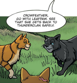 Jayfeather and Leafpool