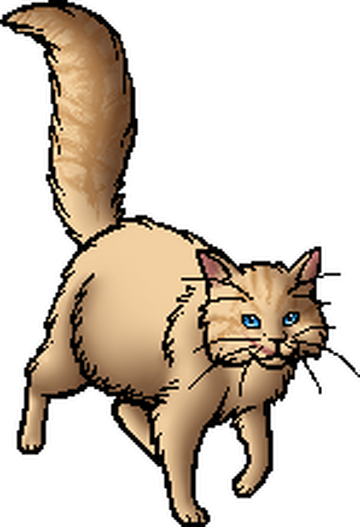 Not very experienced at art but I attempted to do some fan art of  Mapleshade. Got her color and look from the warriors wiki. : r/WarriorCats