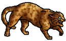 Dark Forest Resident Version