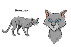warrior cat designs — Boulder Elder of ShadowClan “That's right